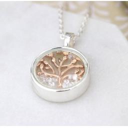 Peace Of Mind.Gold Tree Of Life In Silver Circle Necklace