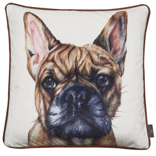 French, Frenchie Bulldog Cushion