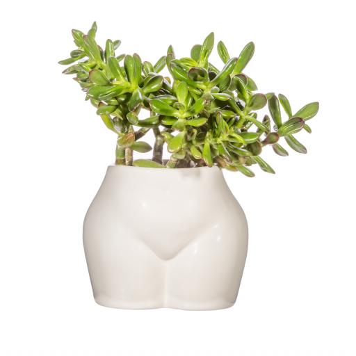 Small White Body Planter By Sass & Belle