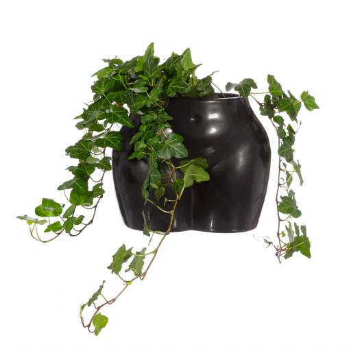 Large Black Body Planter By Sass & Belle