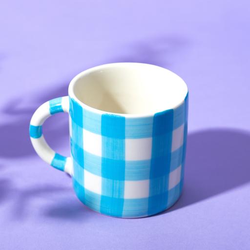 Blue and White Gingham Mug by Sass & Belle