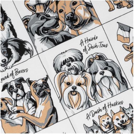 Collection of Dogs Tea Towel 3.jpg