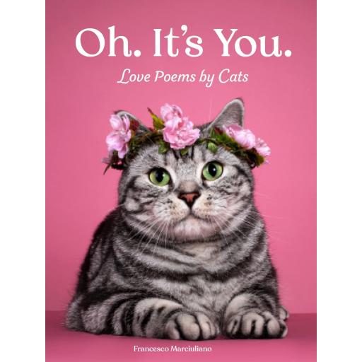 Oh. It's You. Love Poems By Cats Book