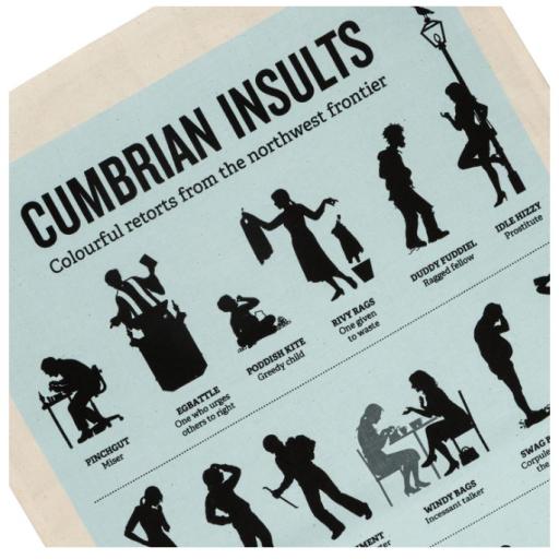 Cumbrian Insults Tea Towel 2.jpg