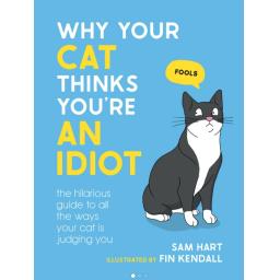 cat thinks you're an idiot.jpg