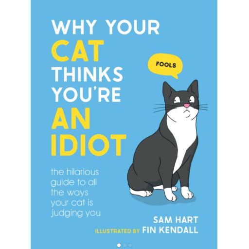 WHY YOUR CAT THINKS YOUR AN IDIOT