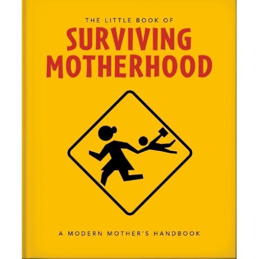 SURVIVING MOTHERHOOD BOOK