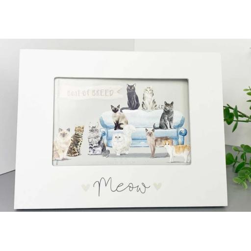 BEST OF BREED WOODEN CAT FRAME 6X4