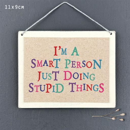 Smart person just doing stupid things hanging sign