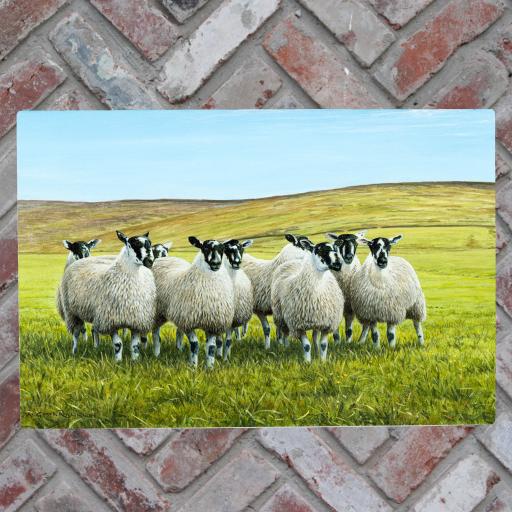 SHEEP ON THE DALES CERAMIC TILE