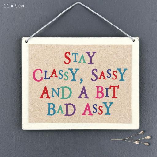 STAY CLASSY, SASSY, BAD ASSY	 HANGING SIGN